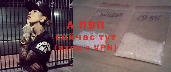 мяу мяу мука Белокуриха