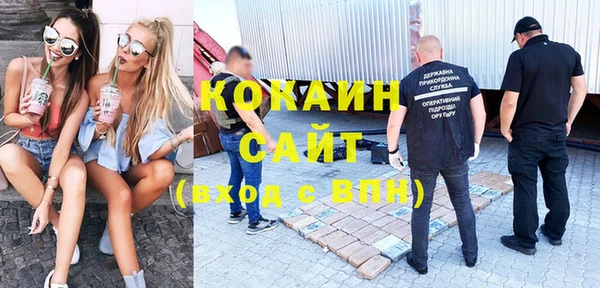 мяу мяу мука Белокуриха