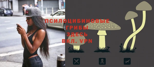 мяу мяу мука Белокуриха