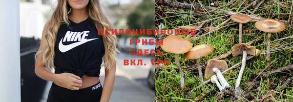 бутират Белоозёрский