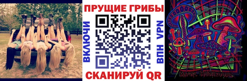 магазин  наркотиков  Покровск  Псилоцибиновые грибы Psilocybe 